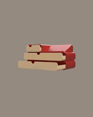 Organizador de Escritorio XL