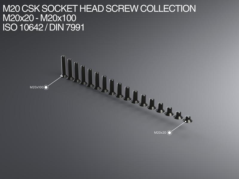 M20 CSK Socket Head Screw Collection M20x20-M20x100 ISO 10642 / DIN 7991