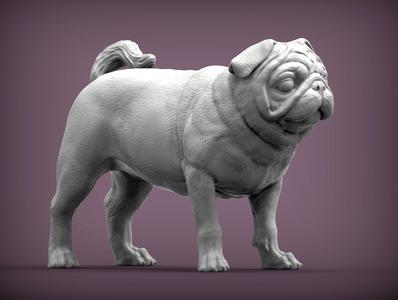 Pug for 3D printing