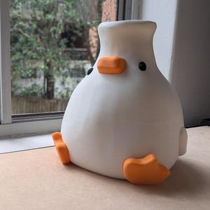 Duckie Vase / Fly trap