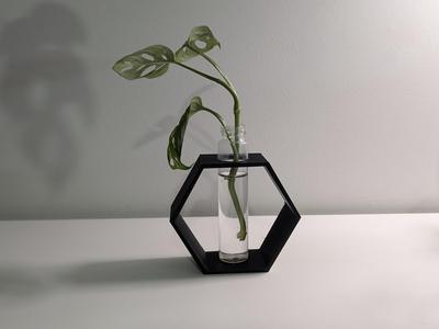 Plant Propagation Hexagon Cuttings Holder 22 mm