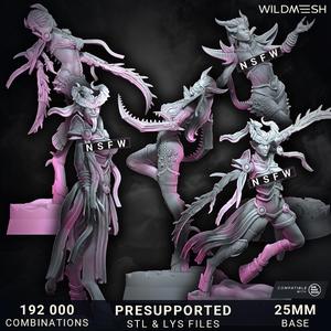 Chaos Excess - Succubus Unit Set I