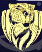 AFL Richmond logo