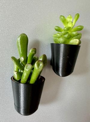 Little magnetic flower pot for wall mounting