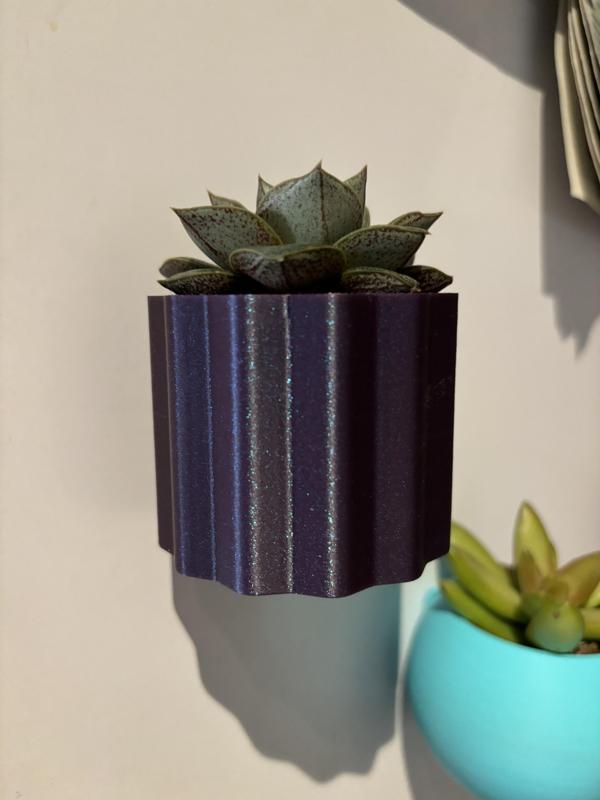  Fridge magnetic planter for succelent plants - 3 NON COMMERCIAL