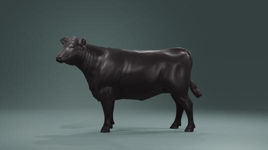 Young Cow Heifer model - Cattle for printing  high poly