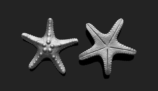 Starfish 2 - 3D Print - Aquarium