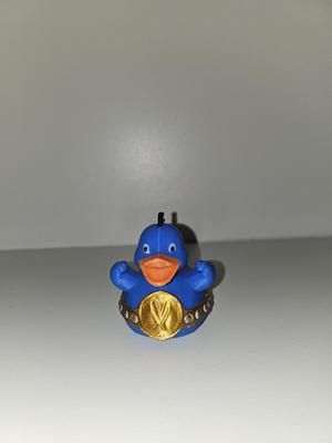 Professional Wrestler Duck.3mf