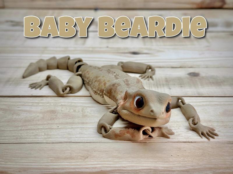Baby Beardie (Baby Bearded Dragon)