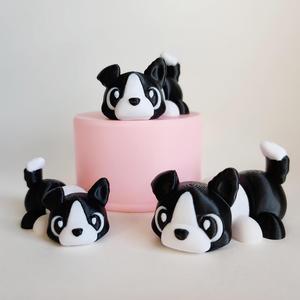 Border Collie Flexi