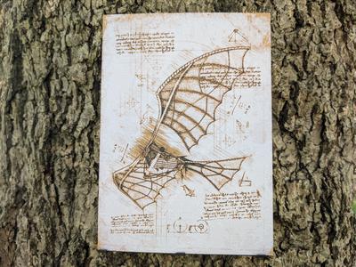 DaVinci's Machines - Flying Machine Filament Painting