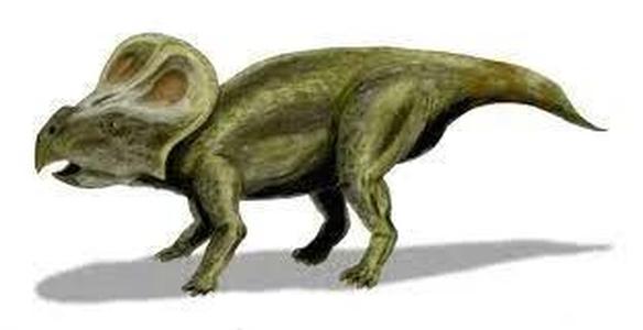 protoceratops