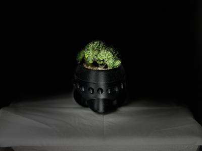 POT  "UFO"