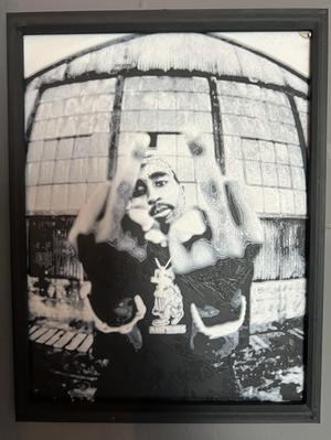 Tupac Shakur Portrait (No AMS system needed)