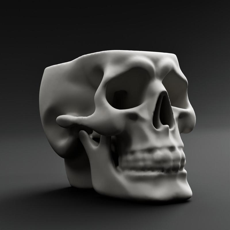 Skull Vase
