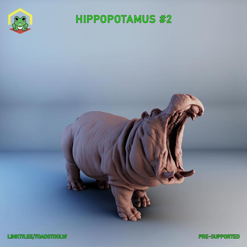 Hippopotamus - 2