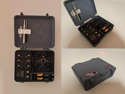 Travel case for 65mm Whoop