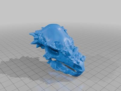 Pachycephalosaurus skull