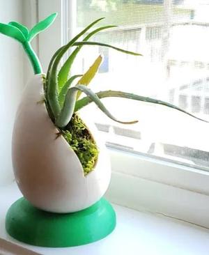 Sprout - Self-Watering Desktop Planter for small plants and succulents