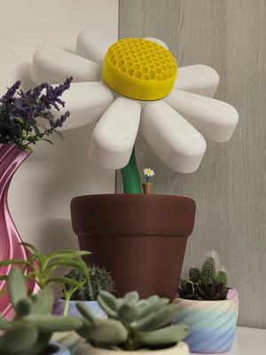 GOOGLE FLOWER
