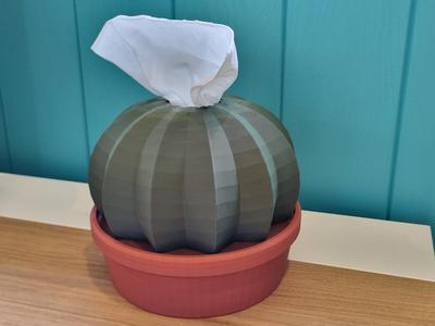 Cactus in a Pot - Tissue Box Cover