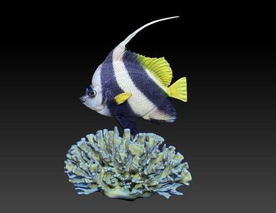 Coralfish