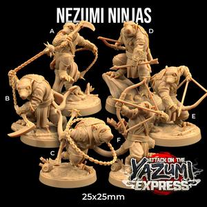 Nezumi Ninjas