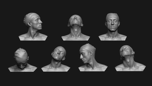Neck Anatomy Reference Set