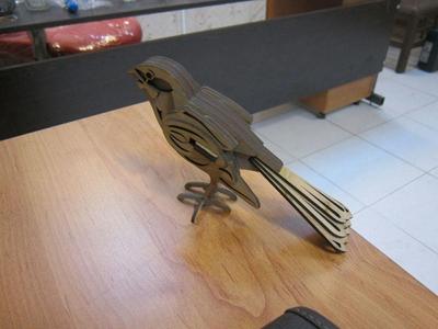 Bird