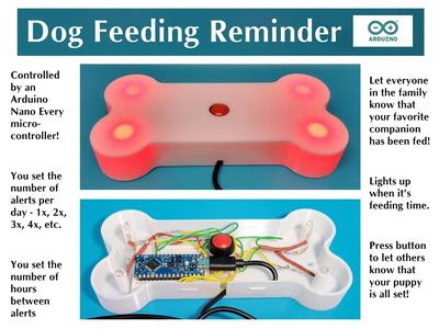 Dog Feeding Reminder   