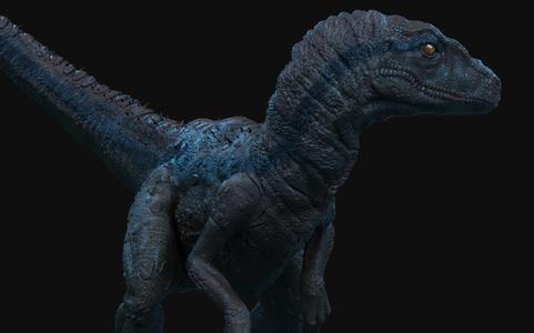 Velociraptor 3D print model t - rex