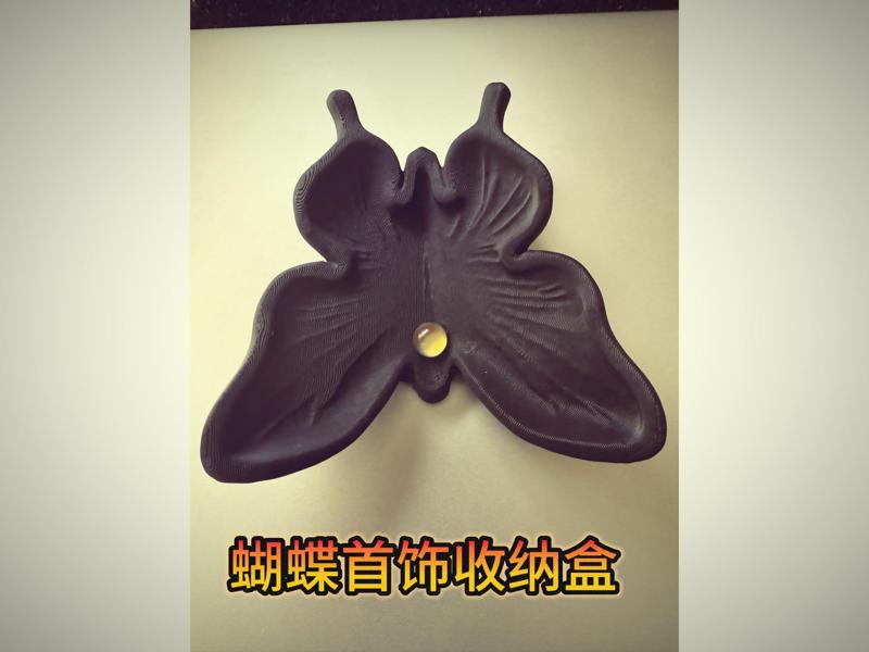 Butterfly Jewelry Box - 2025 Wang Defu Work 52