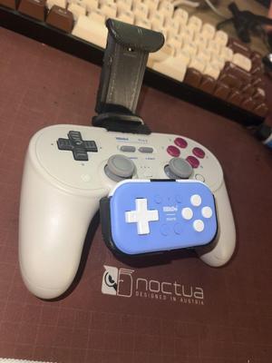8BitDo Dual Controller