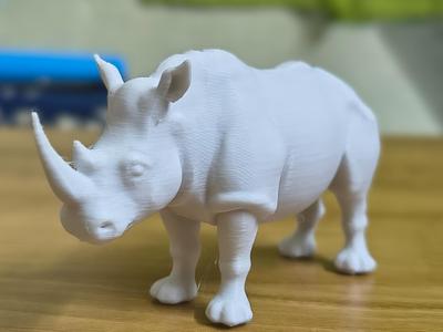 Rhino