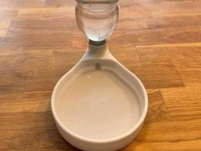 Water dispenser pet fountain cat dog 3D