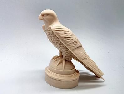 Falcon on Perch #2