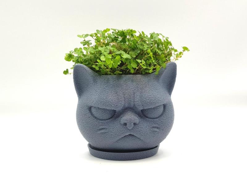 Grumpy Cat Mini Pot Organizer & Planter + coaster