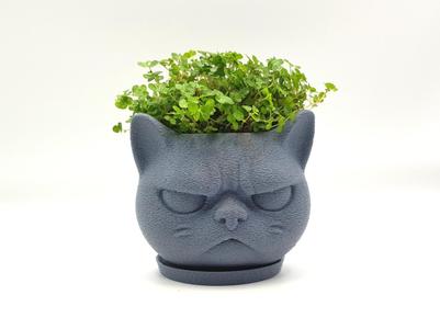 Grumpy Cat Mini Pot Organizer & Planter + coaster