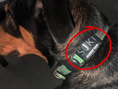 Heavy Duty Dog Tag (CUSTOMIZABLE) (UPDATED)