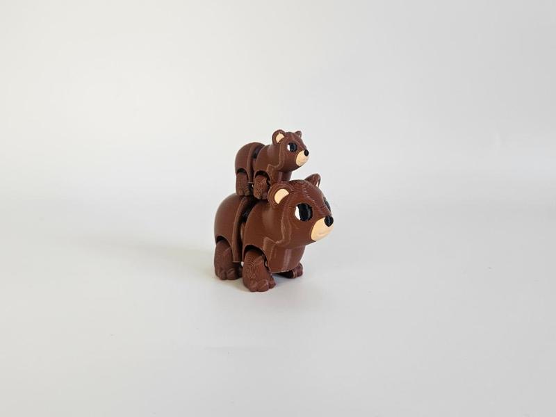 Grizzly Bear