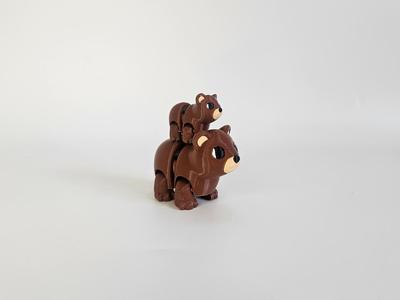 Grizzly Bear