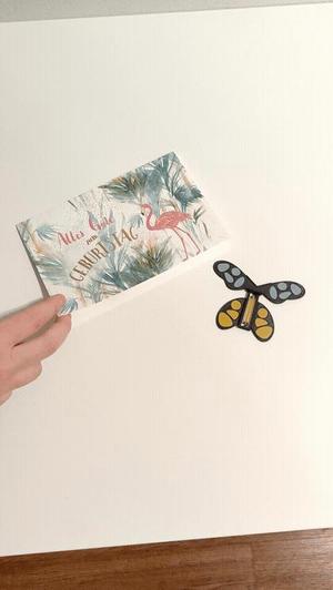 Flying Butterfly