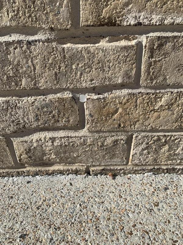 Hole plugs for Termite treatment