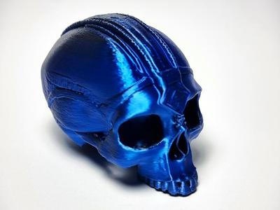 Tribal Skull