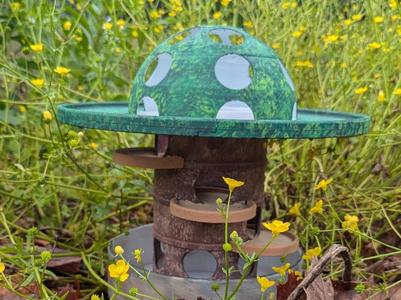 Fort Frog: Amphibian Paradise Tower Pest Control