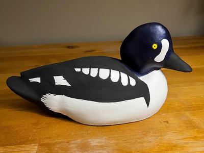 Barrow's Goldeneye Duck Decoy - Drake