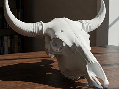 Ox Skull
