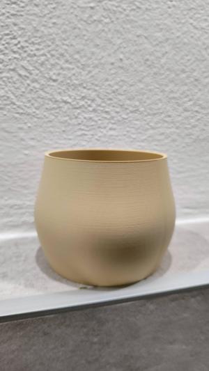 Vase Flower Grass