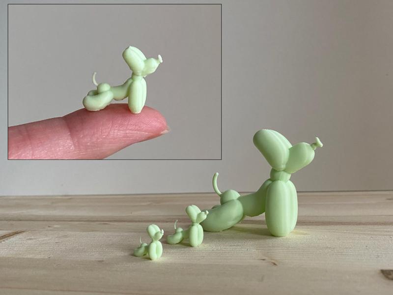 Stretching Balloon Dog