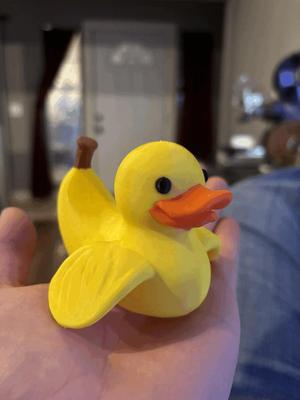 Notha Nana Duck 